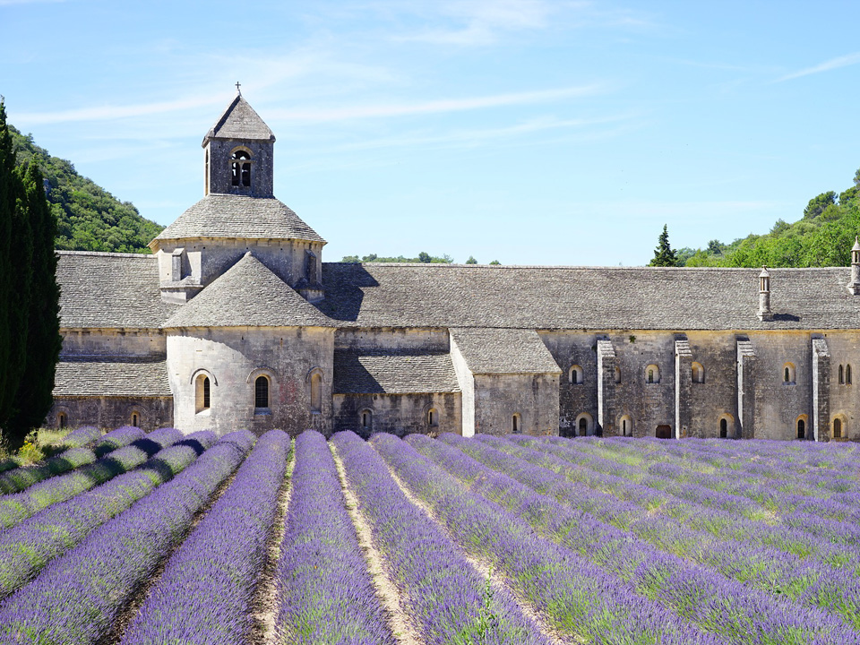 Provence Lavender Tour, Lavender Fields, Visit Provence, Visit the French Riviera